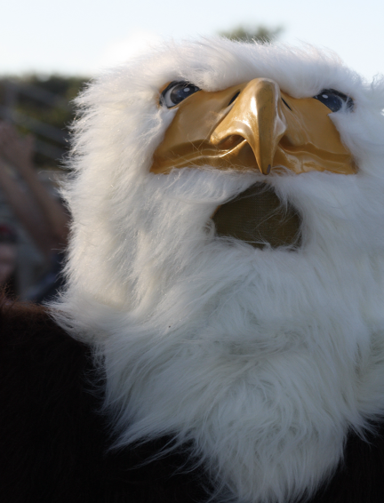 The Eagle: The Mascot of the School